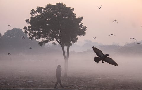 A person walks in a field on a smoggy winter morning, in Gurugram, Sunday, Dec. 28, 2025.