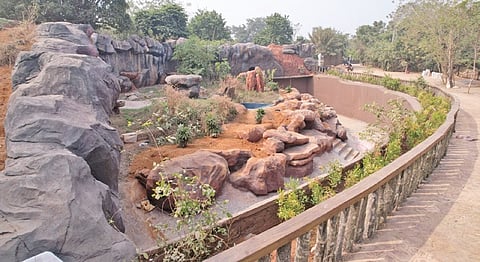 The newly-built North-East Panorama zone in Nandankanan.