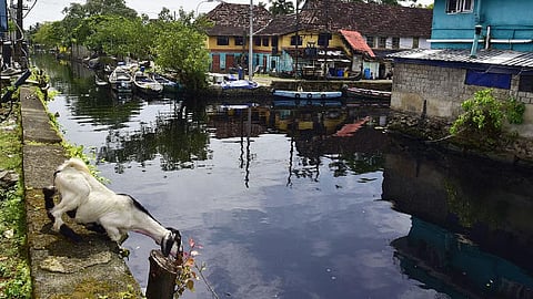 Thuruthy Canal in Fort Kochi.