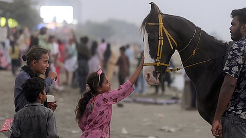 Owners found guilty may face criminal charges, licence suspension or cancellation, and monetary penalties under the new guidelines.