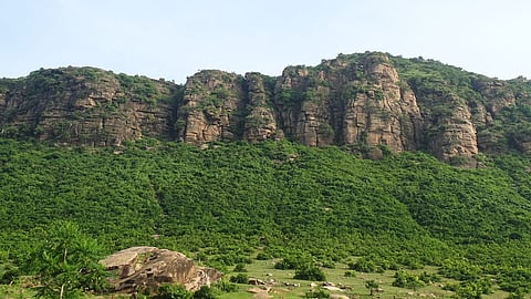 Kaimur Wildlife Sanctuary