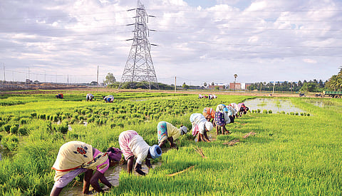 Farms and grids must grow together in 2026