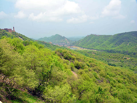 Singh cautioned that continued neglect of the Aravallis could have long-term consequences for both ecology and livelihoods.