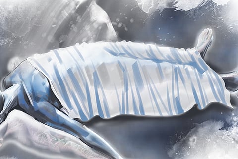 Used for representational purposes.