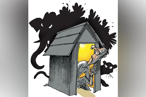 The forest department had identified 30 local bodies across the state as prone to human-wildlife conflict