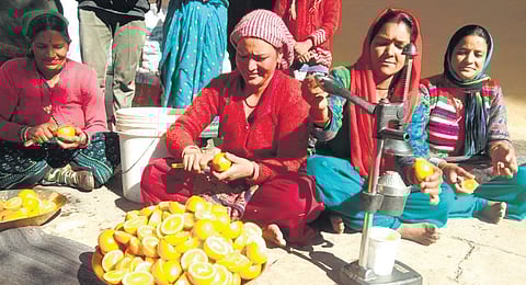 Returning routes of the hills: How a botanist is countering migration from Uttarakhand’s hills