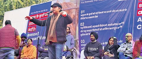 Singer Mohit Chauhan during the performance at Jantar Mantar on Sunday | Express