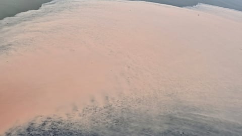 The discolouration of the lake water near the CIFNET building.