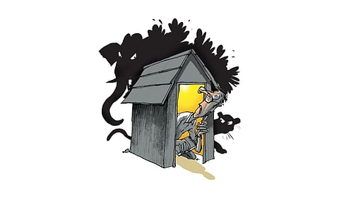 Image used for representational purposes only.