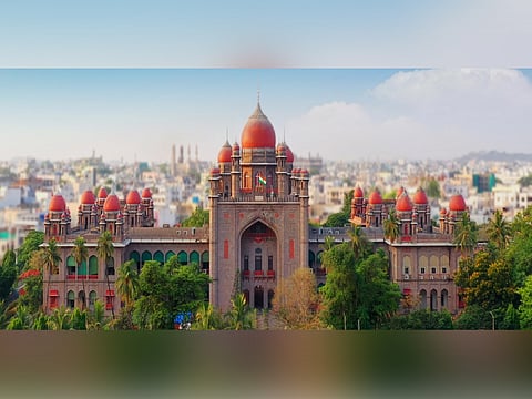 The petition, filed by T Dhangopal Rao, contends that the appointment violates Supreme Court directions.