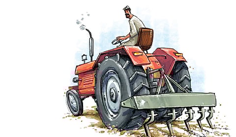 The SPC also recommended integrating green manuring with regular soil testing and soil health cards.