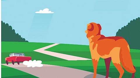 Representative image