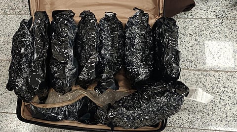 Hyderabad customs seized 12.95 kg of Hydroponic ganja worth over `12 crore at RGIA