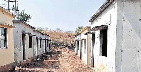 The half-built houses are in a dilapidated condition, with weeds and bushes growing around them