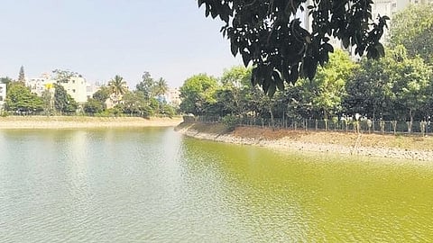 The restored Kalena Agrahara Lake