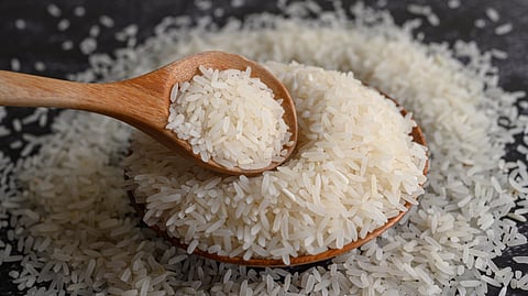 Basmati rice exports