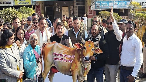 MP Congress protests against alleged cow slaughter in Bhopal.