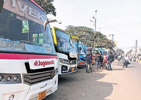 Private buses parked along a road in Jagatsinghpur