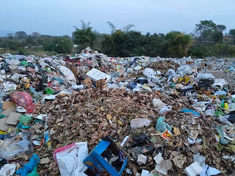 Representative image