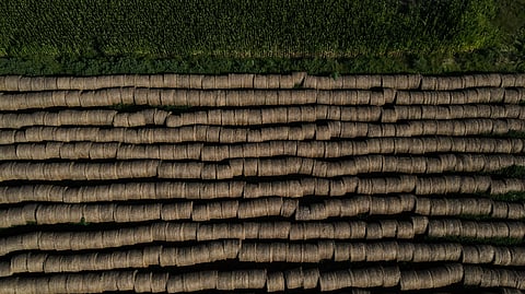 Hay bales sit on a farm in Lobos, Argentina, Tuesday, Jan. 13, 2026.