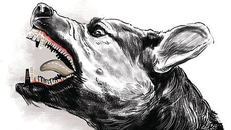 Image used for representative purpose.