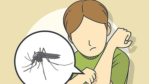 Though Kochi corporation has launched several initiatives, including ‘Pettiyum Parayum’ installations, fogging, and source reduction drives, these measures have failed to curb mosquito breeding.