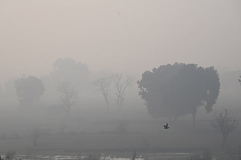 A cold and foggy winter morning, in New Delhi, Monday, Jan. 19, 2026.
