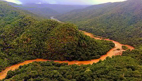 Karnataka forest officials put forth the stand of the state government, stating that the Cabinet has taken the decision to reject the report.
