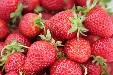 Strawberry recipes: What to cook in your kitchen with this berry