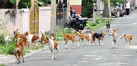 Picture for representation