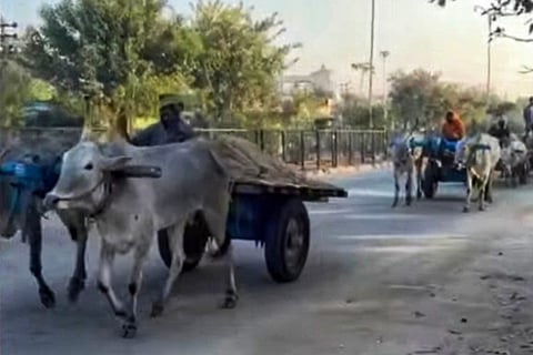 Ballari police seize over 20 bullock carts used for illegal sand transport