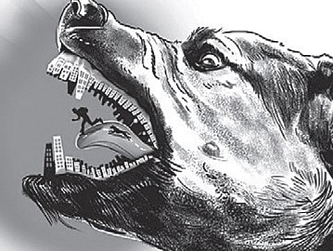 Image used for representation