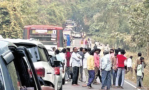 Traffic jam chokes Medaram road near the Mulugu crossroads early on Saturday