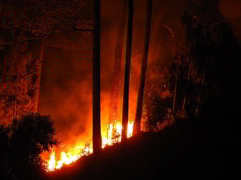 Representative Image.