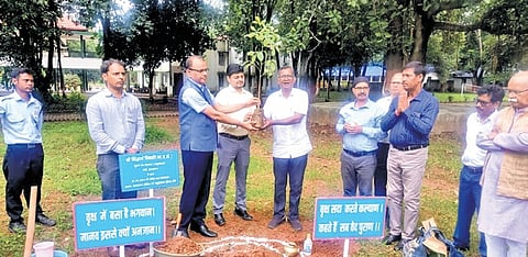 A recently retired lecturer from the Government BEd College, Hazaribagh, Kumar has planted more than 8,000 saplings, most of which now stand as full-grown trees.