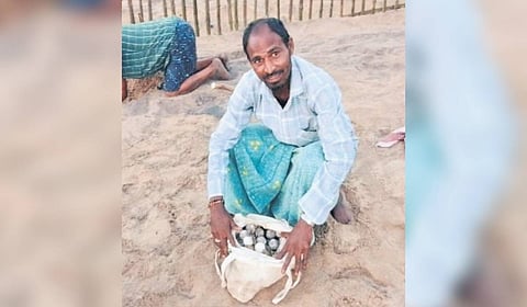 Early reports from the current season indicate that five nestings have already been identified in Srikakulam district, from which 451 eggs were collected and secured.