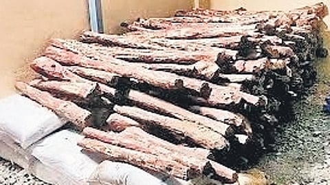 This will ensure that farmers get the best quality saplings for commercial cultivation, not just in Karnataka, but across India.