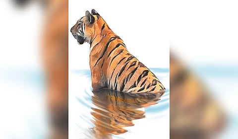 Forest department officials said, for the first two days, the delegates from 18 countries and officials from all Indian states will attend the workshops in Bandipur Tiger Reserve, and then on February 11 and 12, they will be in Nagarhole Tiger Reserve.