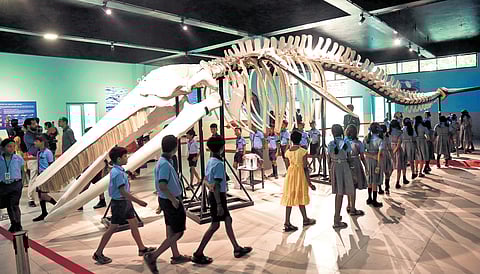 Students take a look at a 14-m-long skeleton of Bryde’s whale at the open house exhibition organised by the Central Marine Fisheries Research Institute as part of its 79th foundation day on Tuesday