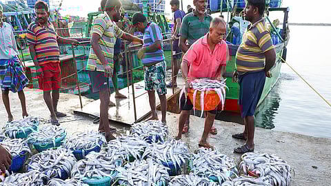 Karnataka exported marine products worth Rs 3,440.6 crore in 2024–25, a steep fall from Rs 4,785.1 crore in 2023–24.