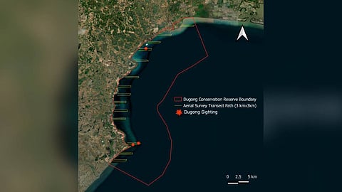 Trained forest staff, researchers and local stakeholders participated in coordinated surveys, ensuring uniform data collection protocols.