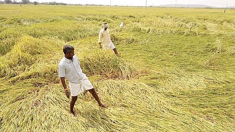 Image used for representational purposes only