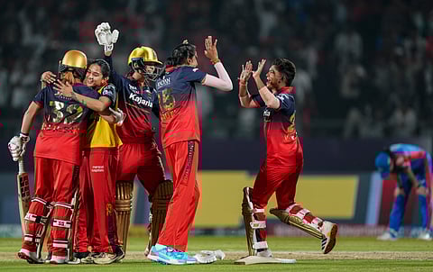 RCB players rejoice after the match