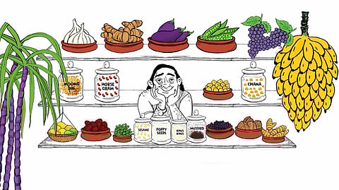 Stills from episode one: What Were the Harappans Eating?