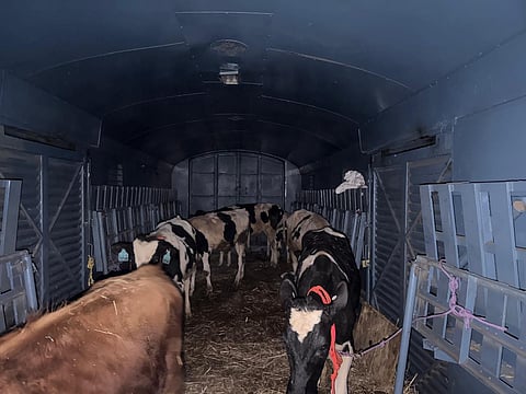 According to the Railway official, this is the first time that livestock has been transported over such a long distance (Bengaluru to Kashmir) via parcel vans.