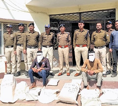 MP-Raj border turns into ecstasy hub, police seize drugs worth Rs 13 crore