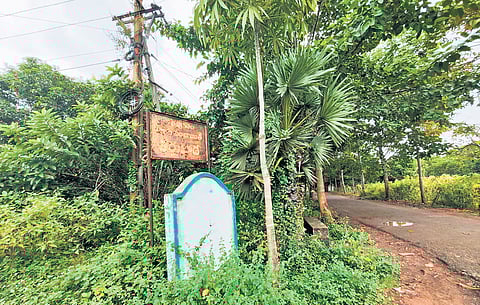 Tarluvada village in Visakhapatnam, where a Google Data Centre is coming up.
