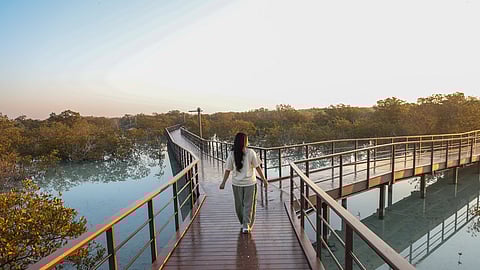 Abu Dhabi: A City That Makes Solo Travel Feel Effortless