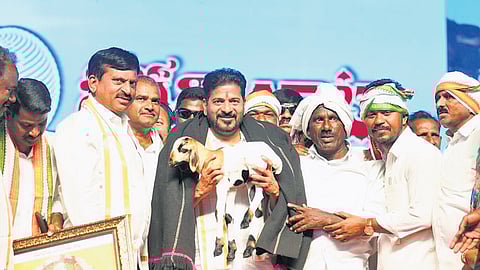 Chief Minister A Revanth Reddy holds a lamb during a public meeting in Chelpur.