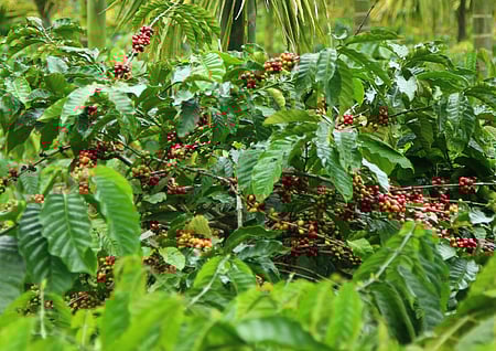 Image used for representational purposes only.